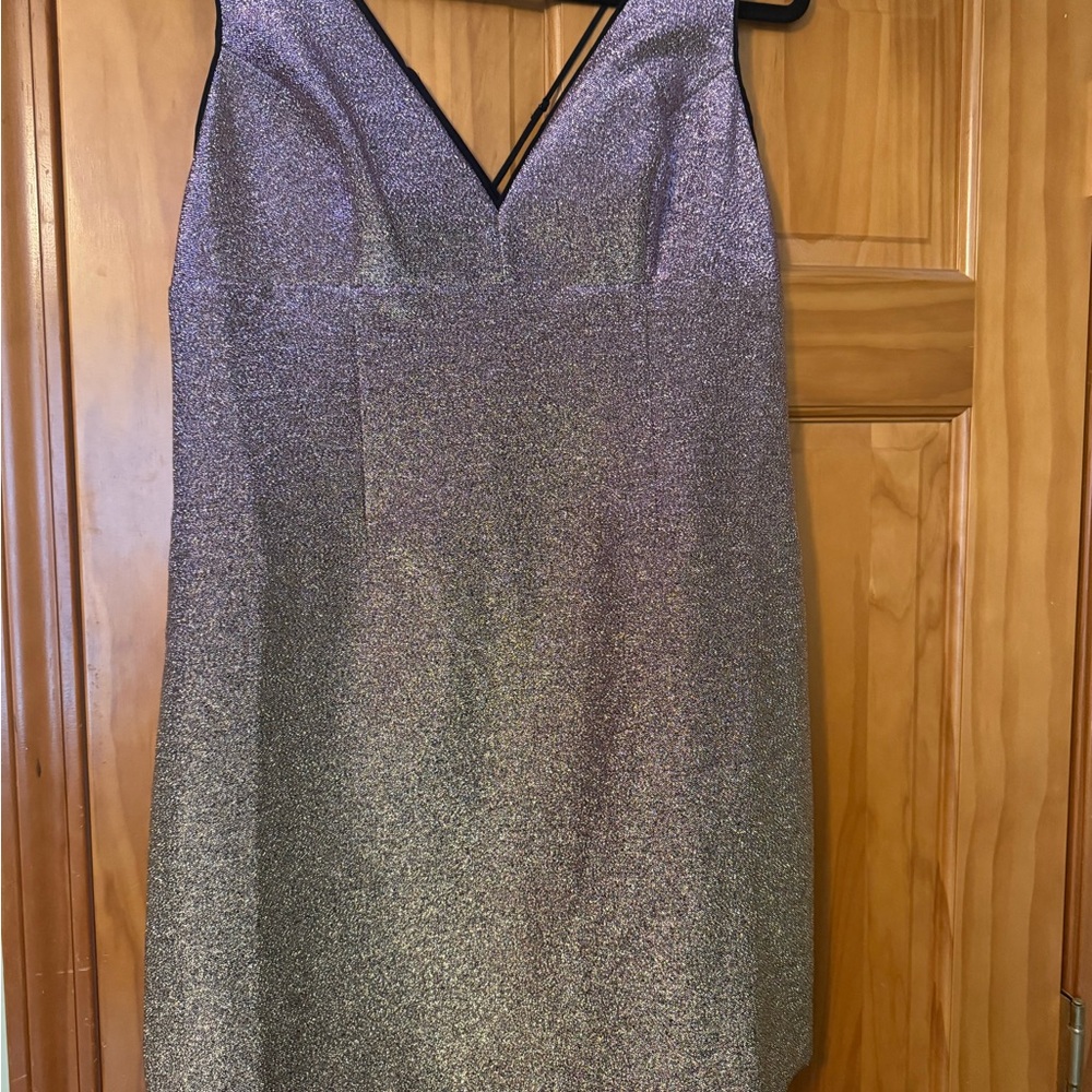 Express Metallic Purple Dress